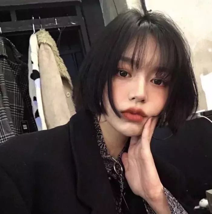 非洲的动物上班族